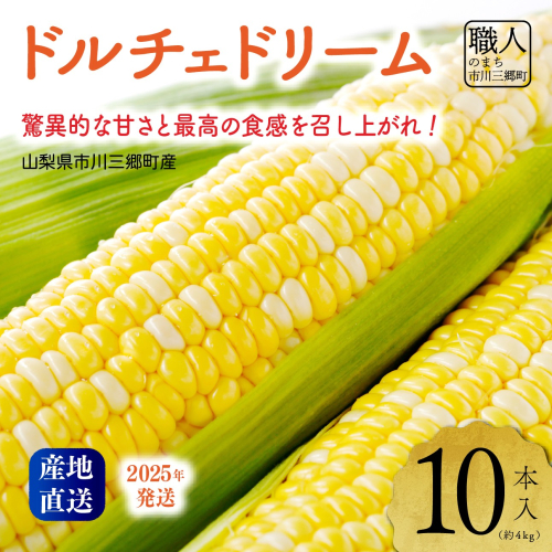 2025年発送！【山梨県市川三郷町産】Inakakara「ドルチェドリーム」10本入[5839-2165] 2018032 - 山梨県市川三郷町