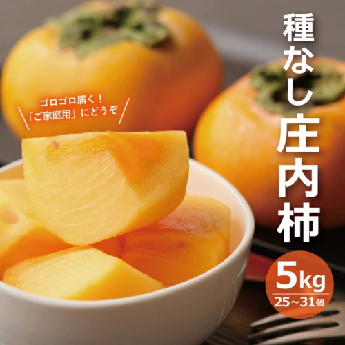 SA2566　酒田の果物専門店厳選　庄内柿(種なし柿)　約5kg(25～31玉入) 201864 - 山形県酒田市