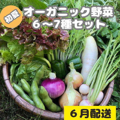 【先行予約：6月配送】＜てんとうむしばたけ＞初夏のオーガニック野菜セット　有機野菜6～7種前後
 2019374 - 京都府京丹後市