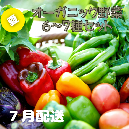 【先行予約：7月配送】＜てんとうむしばたけ＞夏のオーガニック野菜セット　有機野菜6～7種前後
 2019375 - 京都府京丹後市