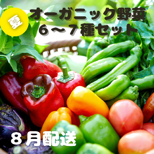 【先行予約：8月配送】＜てんとうむしばたけ＞夏のオーガニック野菜セット　有機野菜6～7種前後
 2019376 - 京都府京丹後市