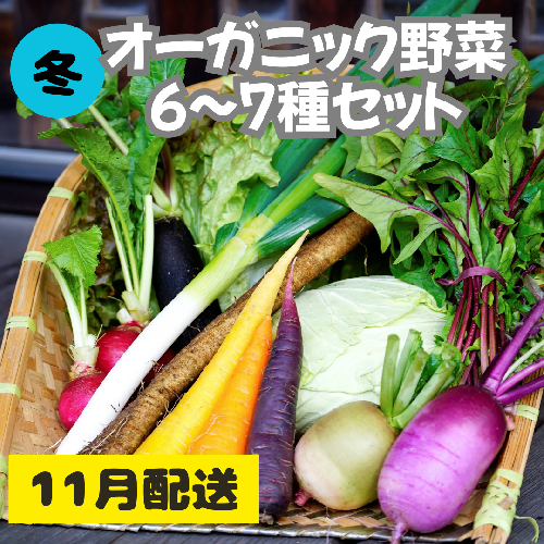 【先行予約：11月配送】＜てんとうむしばたけ＞冬のオーガニック野菜セット　有機野菜6～7種前後
 2019378 - 京都府京丹後市
