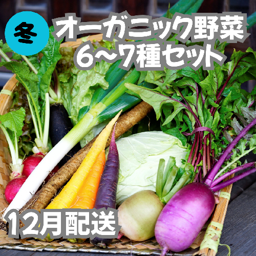 【先行予約：12月配送】＜てんとうむしばたけ＞冬のオーガニック野菜セット　有機野菜6～7種前後
 2019380 - 京都府京丹後市