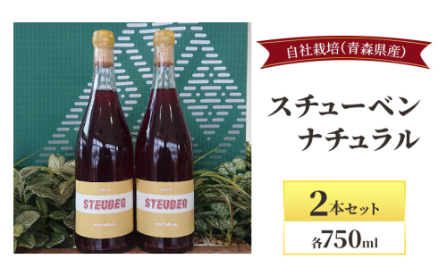 スチューベンナチュラル 750ml×2本セット お酒 ワイン 赤ワイン 青森県産 スチューベン 無濾過・無添加 2020124 - 青森県西目屋村