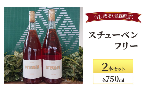 スチューベンフリー 750ml×2本セット お酒 ワイン 赤ワイン 青森県産 スチューベン 無濾過・無添加 2020125 - 青森県西目屋村