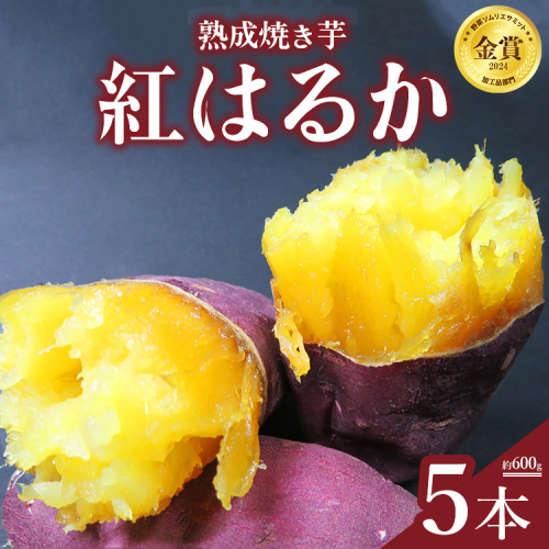 熟成焼き芋5本セット(紅はるか) ※北海道、沖縄、離島への配送不可 2020184 - 静岡県御殿場市