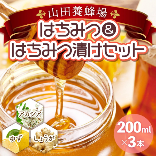 はちみつ&はちみつ漬けセット(87665)【006-a044】 2020368 - 岡山県鏡野町