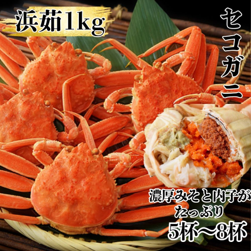 11-181 ボイルセコガニ1kg｜ セイコ蟹 ズワイガニメス 子持ち 2020660 - 北海道紋別市