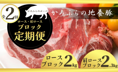 北海道 定期便 2ヵ月 連続 全2回 焼き豚や煮豚にも！部位で違いを楽しむ豚ブロック定期便 かみふらのポーク 北海道 上富良野 国産 豚 切落し ロース ブロック 煮豚 焼き豚 地養豚 2023305 - 北海道上富良野町