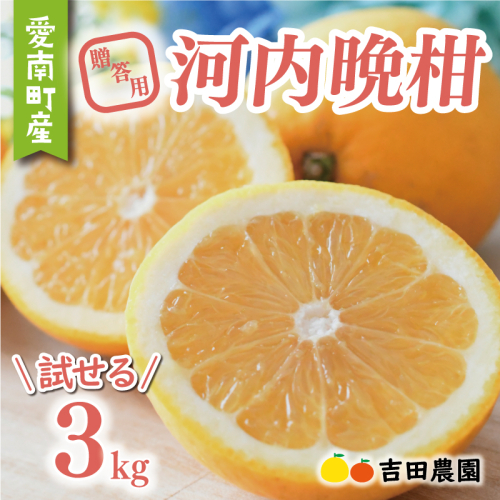 贈答用 河内晩柑 3kg 7000円 お試し用 みかん かわちばんかん 愛南ゴールド あいなん ゴールド 夏 文旦 グレープフルーツ 和製 少量 お試し 産地直送 お中元 ギフト プレゼント 国産 農家直送 期間限定 数量限定 ビタミン 健康 おいしい 特産品 ゼリー ジュース 人気 限定 さわやか 甘い フルーツ 果物 柑橘 蜜柑 吉田農園 愛南町 愛媛県 2023685 - 愛媛県愛南町