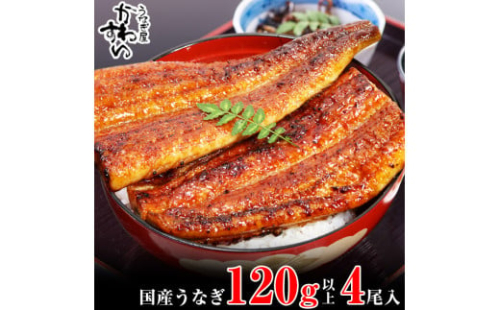 995.国産うなぎ蒲焼120ｇ 4本セット(A995-1) 2023995 - 和歌山県有田市