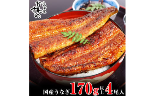 1000.国産うなぎ蒲焼170g 4本セット(A1000-1) 2024001 - 和歌山県有田市