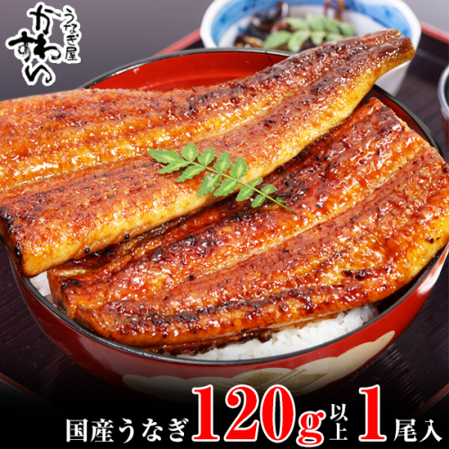 1001.国産うなぎ蒲焼120g 1本セット(A1001-1)
2024002 - 和歌山県有田市
