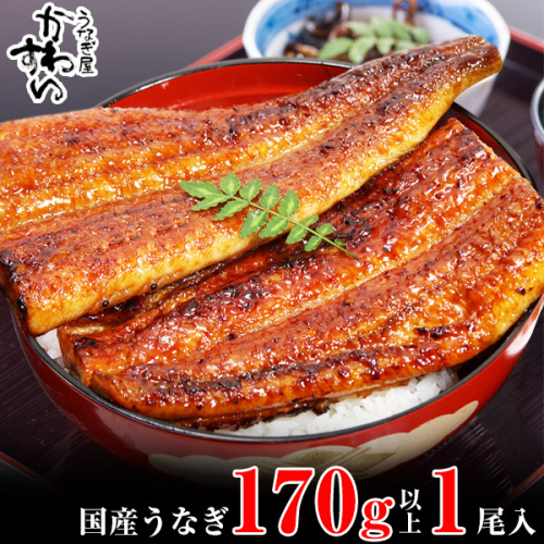 1003.国産うなぎ蒲焼170g 1本セット(A1003-1) 2024005 - 和歌山県有田市