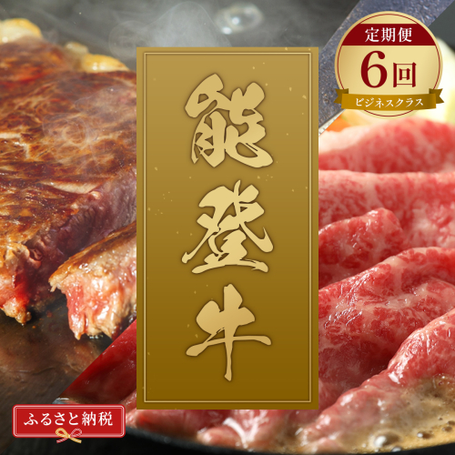 肉【和牛セレブ】能登牛 定期便「ビジネスクラス」全6回 特選 しゃぶしゃぶ すき焼き 焼肉 ステーキ ギフト 石川県 能美市 2024548 - 石川県能美市