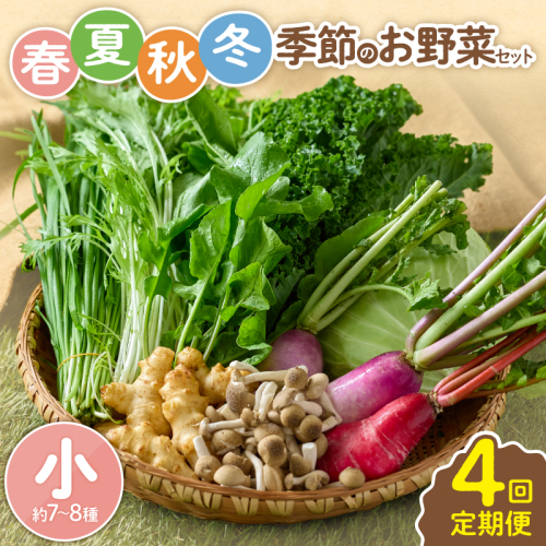 【全4回定期便】春夏秋冬 季節のお野菜セット(サイズ小) 2025087 - 宮崎県綾町