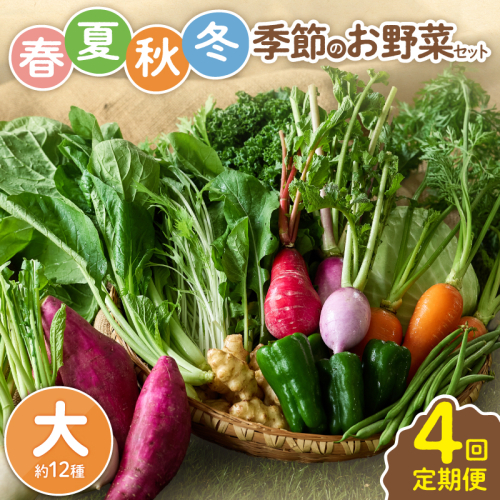 【全4回定期便】春夏秋冬 季節のお野菜セット(サイズ大) 2025089 - 宮崎県綾町