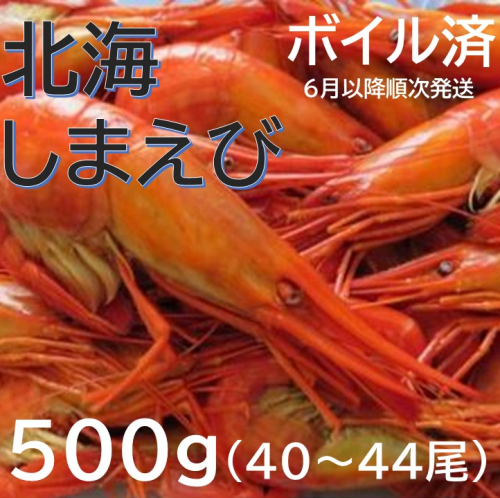 新物 北海縞海老 シマエビ 北海縞えび 国産 500g 40～44尾 しまえび 冷凍 えび エビ ボイル済み 6月以降発送 Sサイズ 2025221 - 北海道池田町