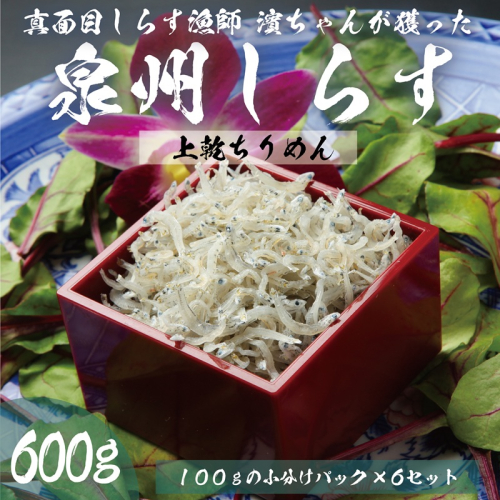 上乾ちりめんしらす 600g【小分け 100g×6P シラス 国産 魚介類 しらす ご飯のお供 海鮮丼 冷凍】 099H3467 2026891 - 大阪府泉佐野市
