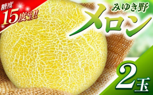 *【2025年先行予約】みゆき野メロン2玉 | メロン みゆき野メロン みゆき野 フルーツ 信州 木島平 北信州 2026983 - 長野県木島平村