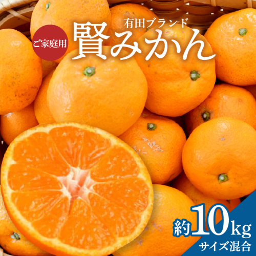 ZD92066_【2025年先行予約】【家庭用】有田ブランド 賢みかん 約10kg（サイズ混合） 2027132 - 和歌山県湯浅町
