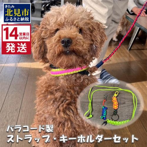 《14営業日以内に発送》パラコード製 ストラップ1個 キーホルダー2個 3点セット ( ペット 犬 小物 わんこ 手作り )【195-0001】 2027179 - 北海道北見市