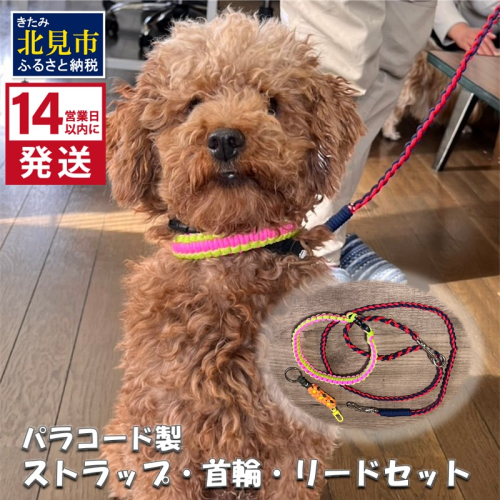 《14営業日以内に発送》パラコード製 ストラップ 1個 小型犬用首輪 1個 小型犬用リード1本 3点セット ( ペット 犬 小物 わんこ 手作り 首輪 リード )【195-0002】 2027184 - 北海道北見市