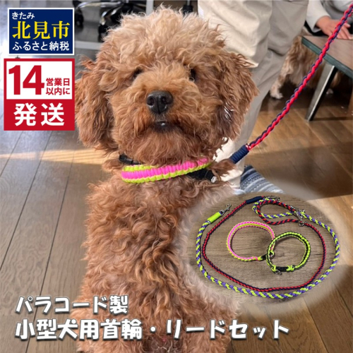 《14営業日以内に発送》小型犬用首輪 2個 リード 2本 4点セット ( ペット 犬 小物 わんこ 手作り 首輪 リード )【195-0003】 2027186 - 北海道北見市