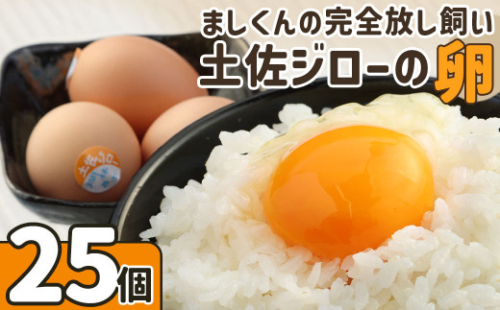 ましくんの完全放し飼い土佐ジローの卵（25個入り）もみ殻梱包 ブランド卵 タマゴ 玉子 たまご 生卵 鶏卵 土佐地鶏 濃厚 新鮮 食品 プレゼント ギフト 送料無料 【R00443】 2027207 - 高知県土佐清水市