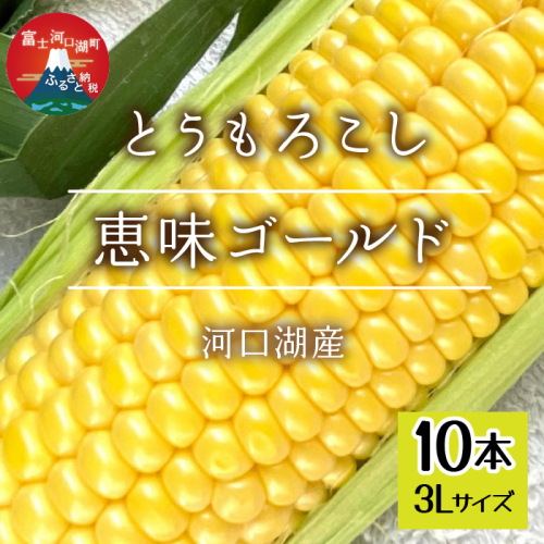＜2025年7月下旬以降発送予約＞河口湖産　とうもろこし　恵味ゴールド　1箱（3Lサイズ10本入り）FEH003 2027875 - 山梨県富士河口湖町
