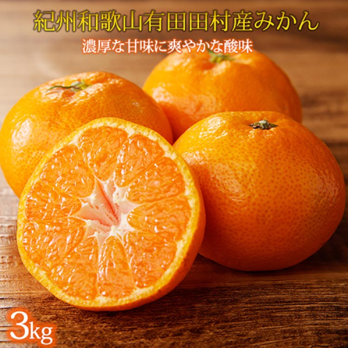 高級ブランド 秀品 紀州有田田村産みかん 3kg ※2025年12月上旬～2026年1月下旬頃に順次発送予定 2029601 - 和歌山県美浜町