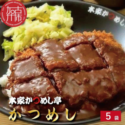 本家かつめし亭のかつめし(5食入り)《 かつめし 本家かつめし亭 デミグラスソース おいしい 洋食 おすすめ 》【2402I05601】 2029772 - 兵庫県加古川市