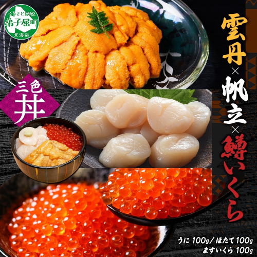 3429. うに チリ産 冷凍 100g 鱒いくら醤油漬け 100g ホタテ 100g セット ウニ 雲丹 いくら イクラ ますいくら ほたて  帆立 海鮮 海鮮丼 三色丼 送料無料 北海道 弟子屈町 203345 - 北海道弟子屈町