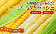 【先行予約】 【数量限定】 とうもろこし 【2025年8月上旬から下旬にかけて順次発送いたします】 兵庫県産 ゴールドラッシュ 12本入 2L 5kg