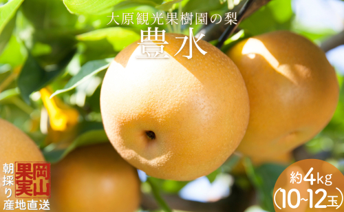 【2025年先行予約】［大原観光果樹園］岡山県産 旬の梨（豊水）（約4kg 10～12玉） 2034125 - 岡山県鏡野町
