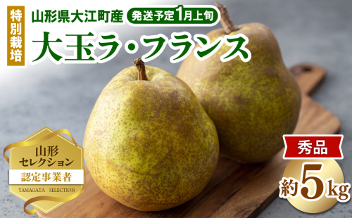 ≪先行受付≫ 特別栽培 大玉 ラ・フランス 約5kg 秀品4L～3L 【2026年1月より順次発送予定】 【025-006】 2034185 - 山形県大江町