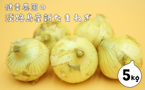 淡路島産新玉ねぎ 5kg　　[新玉ねぎ 新玉ねぎ 新玉ねぎ 新玉ねぎ 新玉ねぎ 新玉ねぎ] 2034200 - 兵庫県淡路市