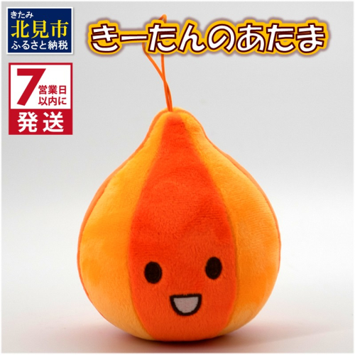 《7営業日以内に発送》きーたんのあたま ( ぬいぐるみ 玉ねぎ マスコット )【165-0001】 2034293 - 北海道北見市
