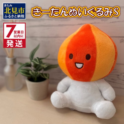 《7営業日以内に発送》きーたん ぬいぐるみ S ( ぬいぐるみ 玉ねぎ マスコット キャラクター )【165-0002】 2034294 - 北海道北見市