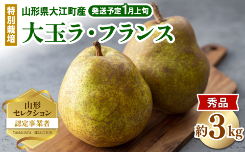 ≪先行受付≫特別栽培 大玉 ラ・フランス 約3kg 秀品4L～3L 【2026年1月より順次発送予定】 2034325 - 山形県大江町