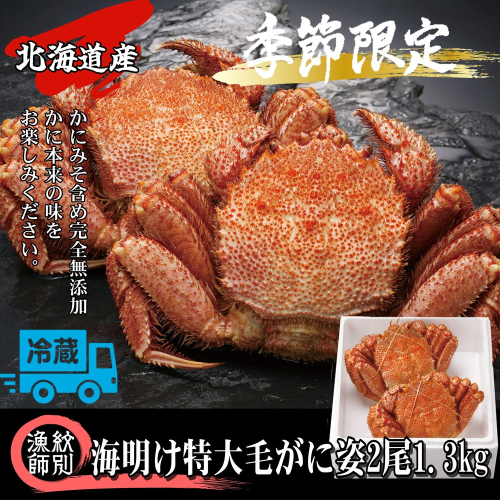65-9 【北海道産】特大海明け毛がに姿 2尾計約1.3kg【期間限定5月19日まで受付予定】(冷蔵便) 2034341 - 北海道紋別市