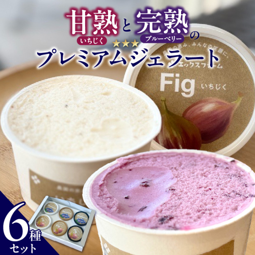 甘熟いちじくとブルーベリーのプレミアムジェラートセット 各1個 碧南市産 甘熟 いちじく 完熟 ブルーベリー 贅沢 スイーツ デザート おやつ カップ 6種 食べ比べ チーズ ミルク ヨーグルト H164-012 2034368 - 愛知県碧南市