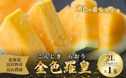 先行予約 富良野産 大玉 スイカ 金色羅皇  2L 7kg 以上×1玉 令和7年産 2025年産 北海道 富良野 ふらの 大玉 すいか 西瓜 果物 くだもの こんじきらおう 黄色 ゴールド 甘い 2034416 - 北海道富良野市