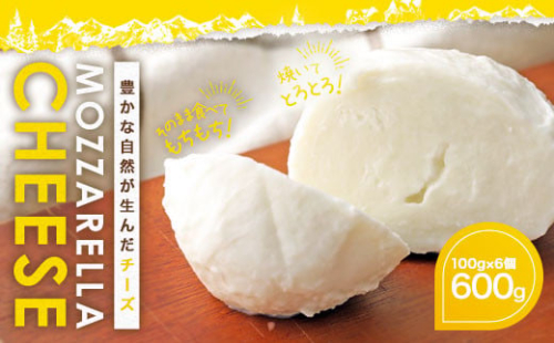 石坂ファーム KUMAMOTO モッツァレラ チーズ 100g×6個 2034423 - 熊本県益城町