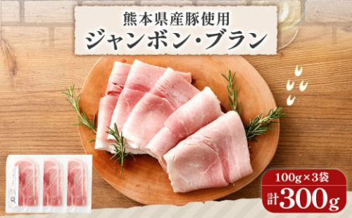 熊本県産 ハム 3個セット 100g×3個 計300g ジャンボンブラン はむ 豚 肉 スライス おつまみ 惣菜 2034430 - 熊本県益城町