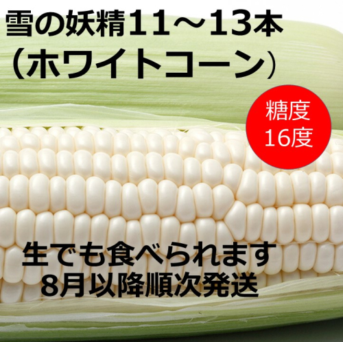 訳あり 北海道 雪の妖精（ホワイトコーン）11～13本入り 5キロ とうもろこし トウモロコシ 数量限定 期間限定 甘い 朝採り 5kg 2034469 - 北海道池田町