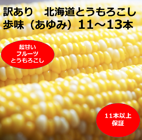 訳あり 北海道 歩味（あゆみ）バイカラーコーン 11～13本入り 5キロ とうもろこし トウモロコシ 数量限定 期間限定 甘い 朝採れ 2034471 - 北海道池田町