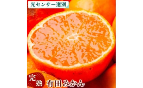 〈11月より発送〉完熟 プレミアム有田みかん 1kg+250g（傷み補償分） ｜ 柑橘 果物 フルーツ 糖度 甘い 濃厚 コク ジューシー 光センサー ※北海道・沖縄・離島への配送不可 ※2025年11月上旬～2026年1月下旬頃に順次発送予定 2034510 - 和歌山県美浜町