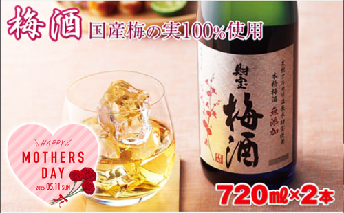 W-22167-mo/<母の日ギフト>濃厚な味わい!梅酒2本 2034727 - 鹿児島県垂水市