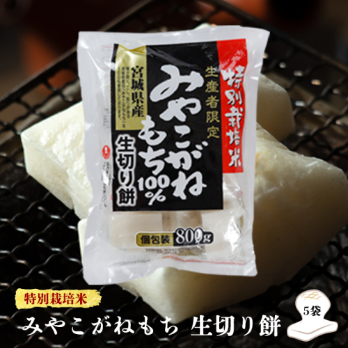 (10003)【特別栽培米生産者限定】宮城県産みやこがねもち100％生切り餅5袋 2034886 - 宮城県大崎市